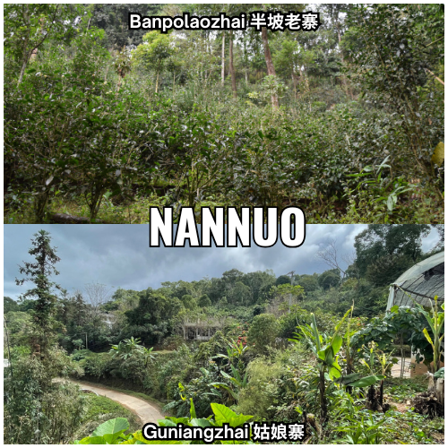 Nannuo - over - 1